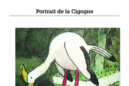 Aperçu image de la ressource