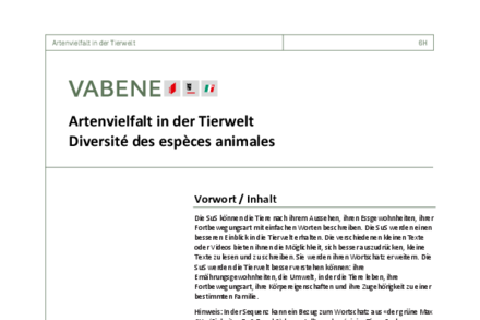 Aperçu image de la ressource