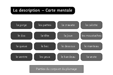 Aperçu image de la ressource