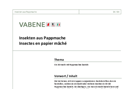 Aperçu image de la ressource