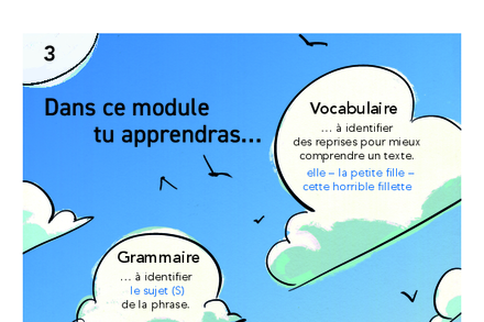 Aperçu image de la ressource